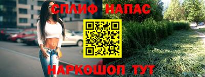 мдпв Пугачёв