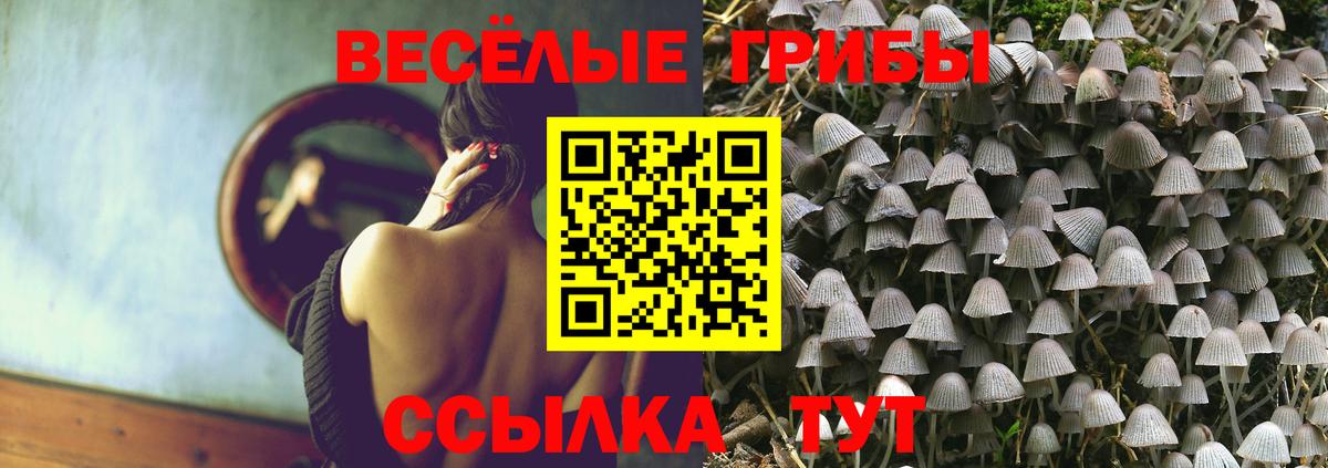 Махачкала  что такое   Вход с VPN  Галлюциногенные грибы мухоморы 