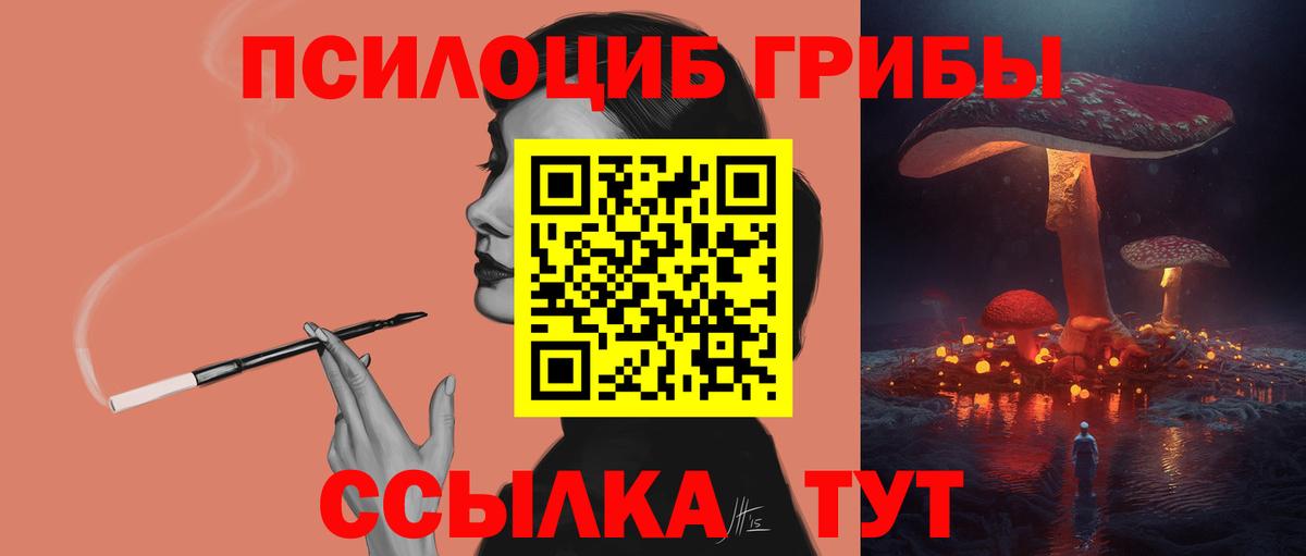 Галлюциногенные грибы GOLDEN TEACHER Махачкала
