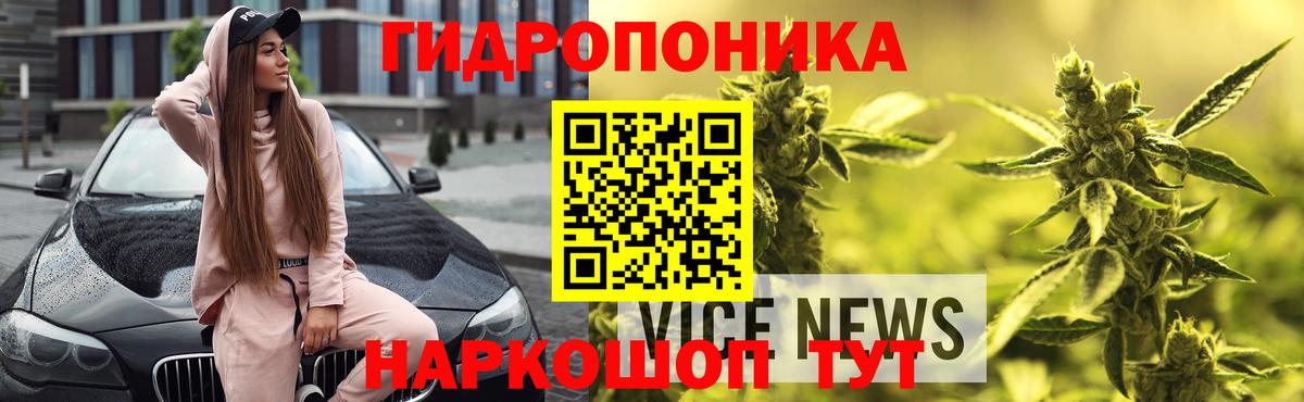 Бошки Шишки AK-47 Махачкала
